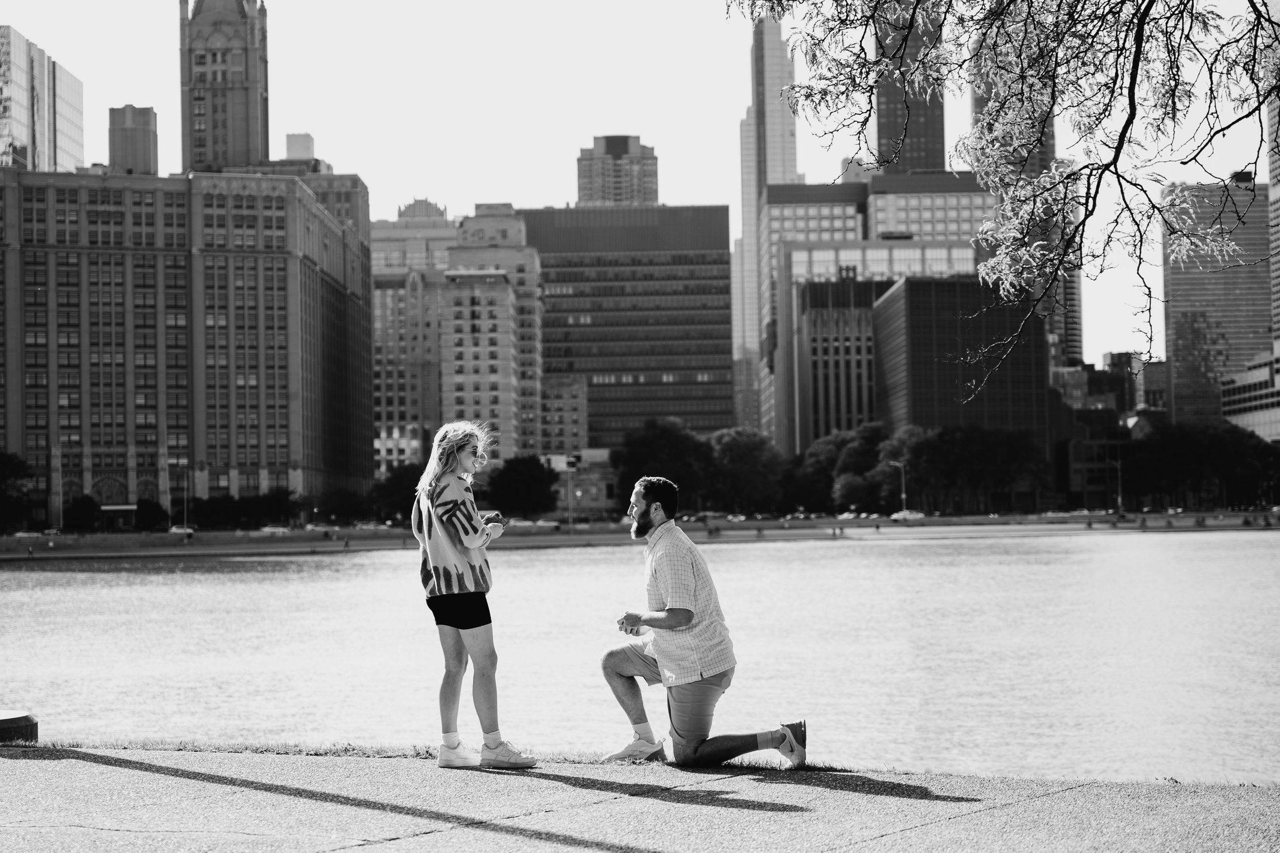 Proposal on the Chicago Lake Front