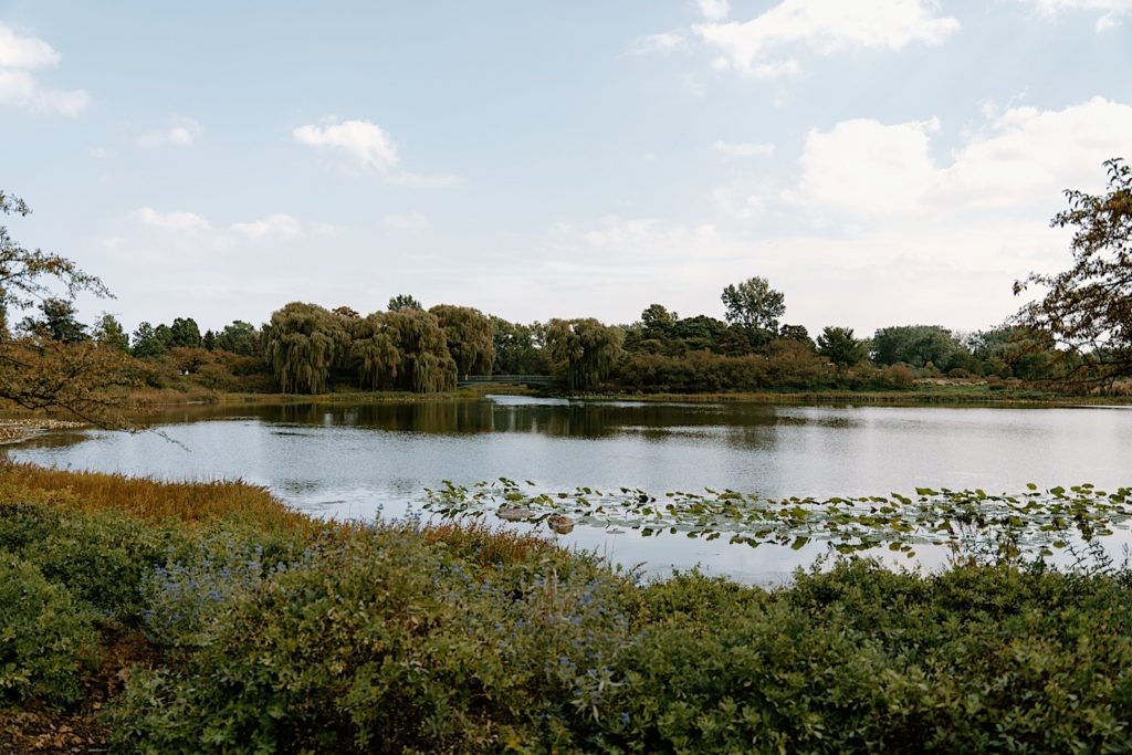 The main pond at the Chicago Botanic Garden.