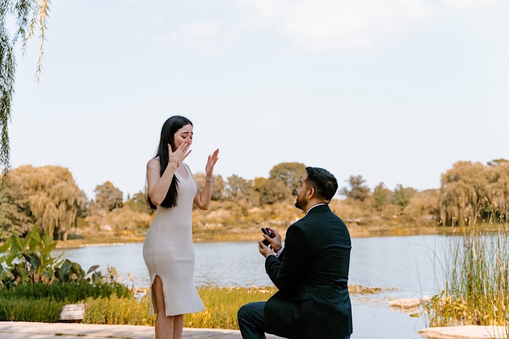 A fiancé proposes to his fiancée on a beautiful summer day at the Chicago Botanic Gardens