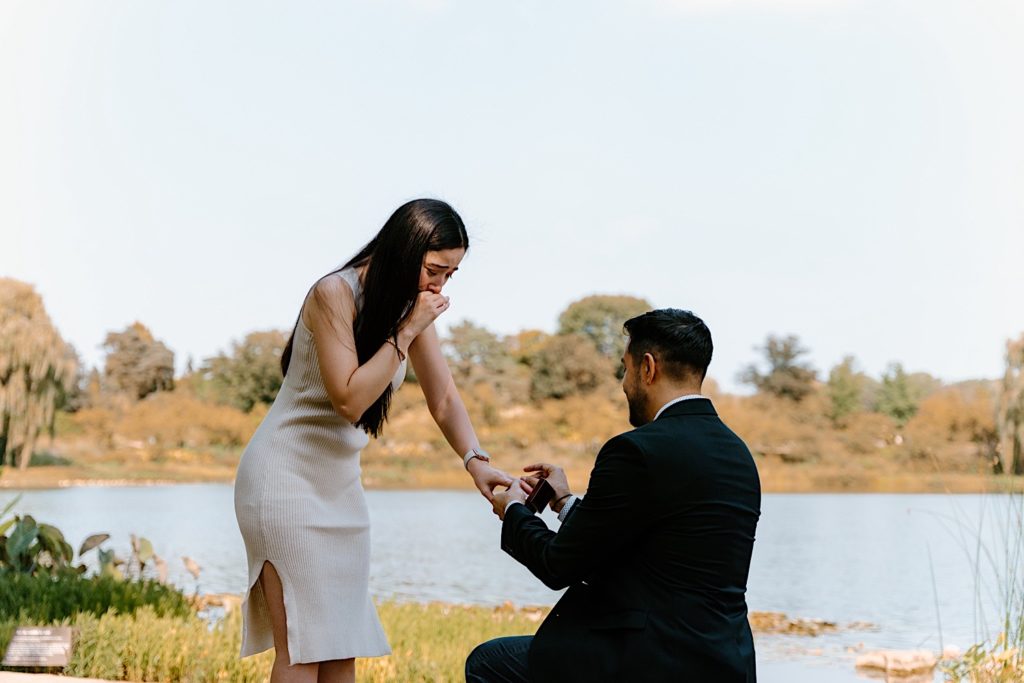 A fiancé proposes to his fiancée on a beautiful summer day at the Chicago Botanic Gardens