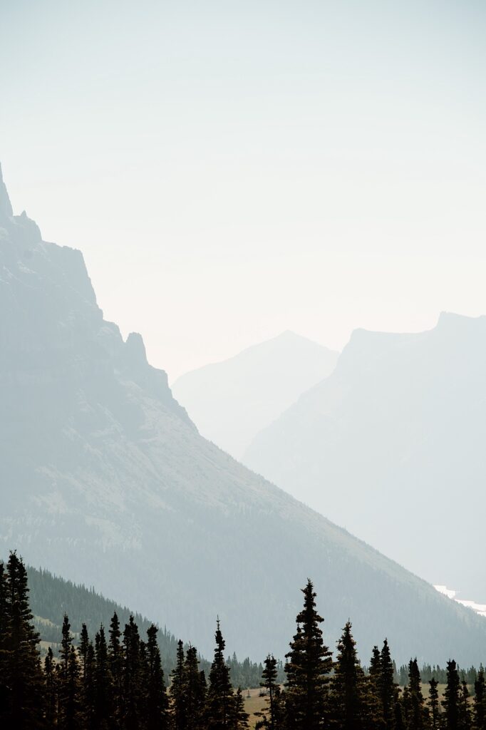 Pine trees in front of mountains at Glacier National Park